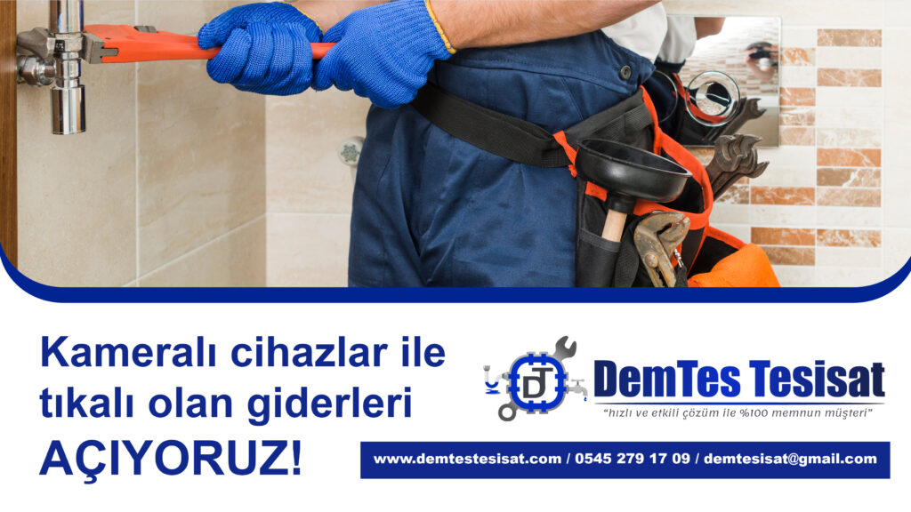 demtes-banner2